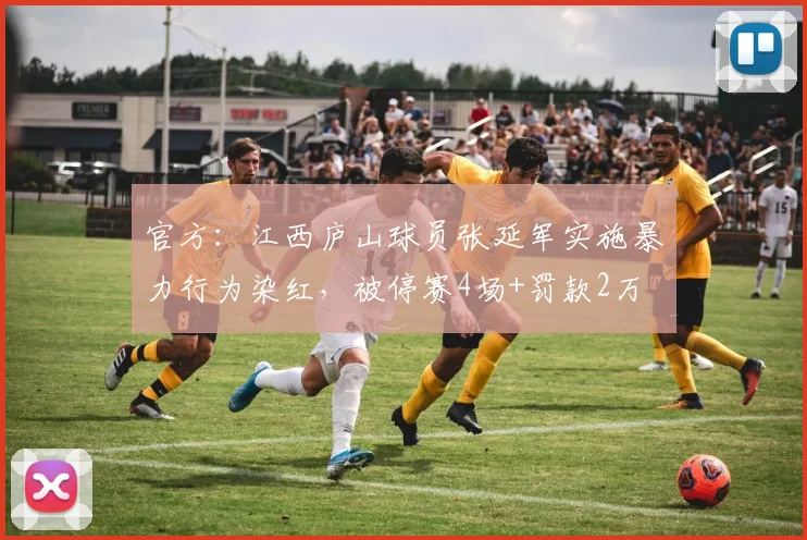 官方：江西庐山球员张延军实施暴力行为染红，被停赛4场+罚款2万
